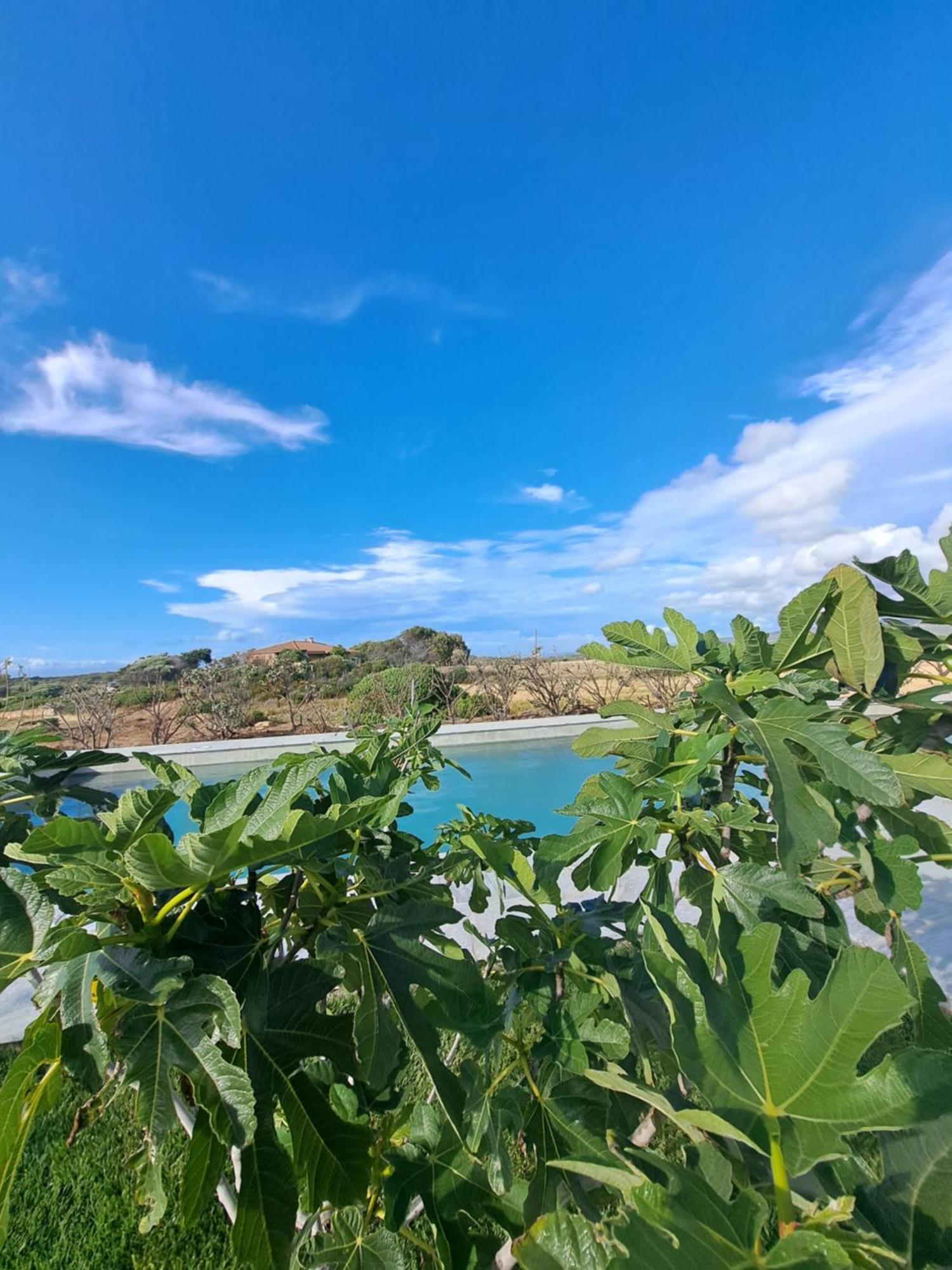 Agriturismo Lu Nodu Greuli Exteriör bild