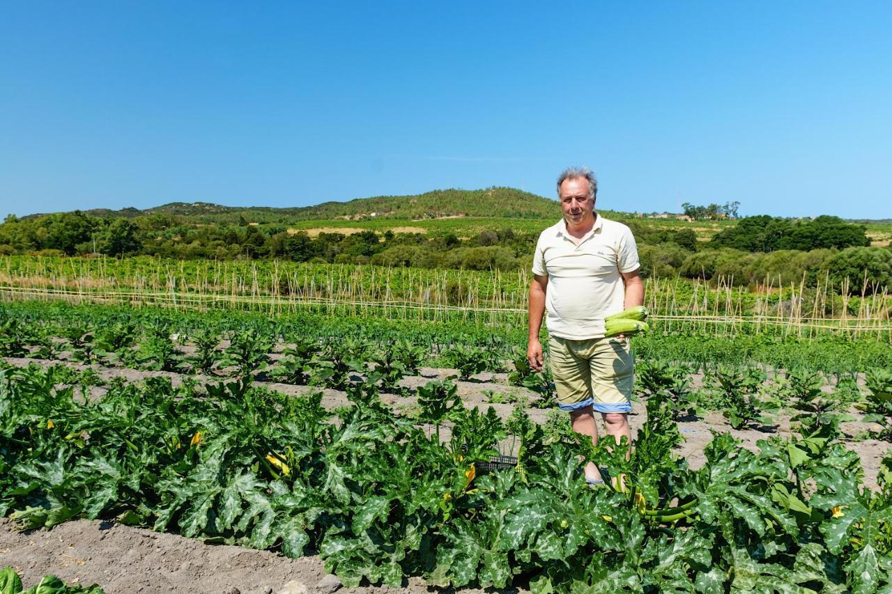 Agriturismo Lu Nodu Greuli Exteriör bild